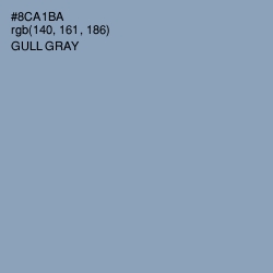 #8CA1BA - Gull Gray Color Image